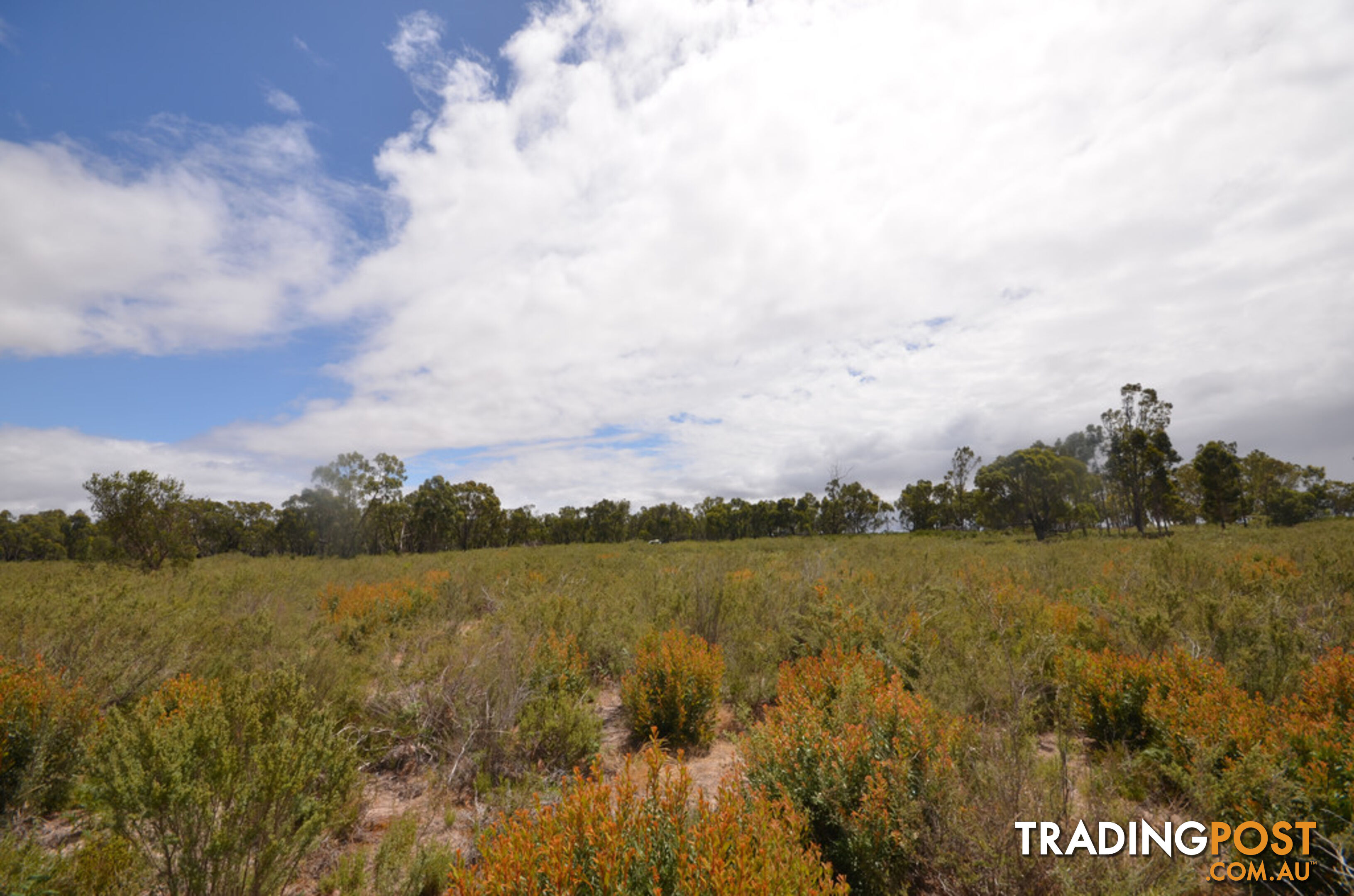 Lot 40 Scrubby Lake Road EDENHOPE VIC 3318