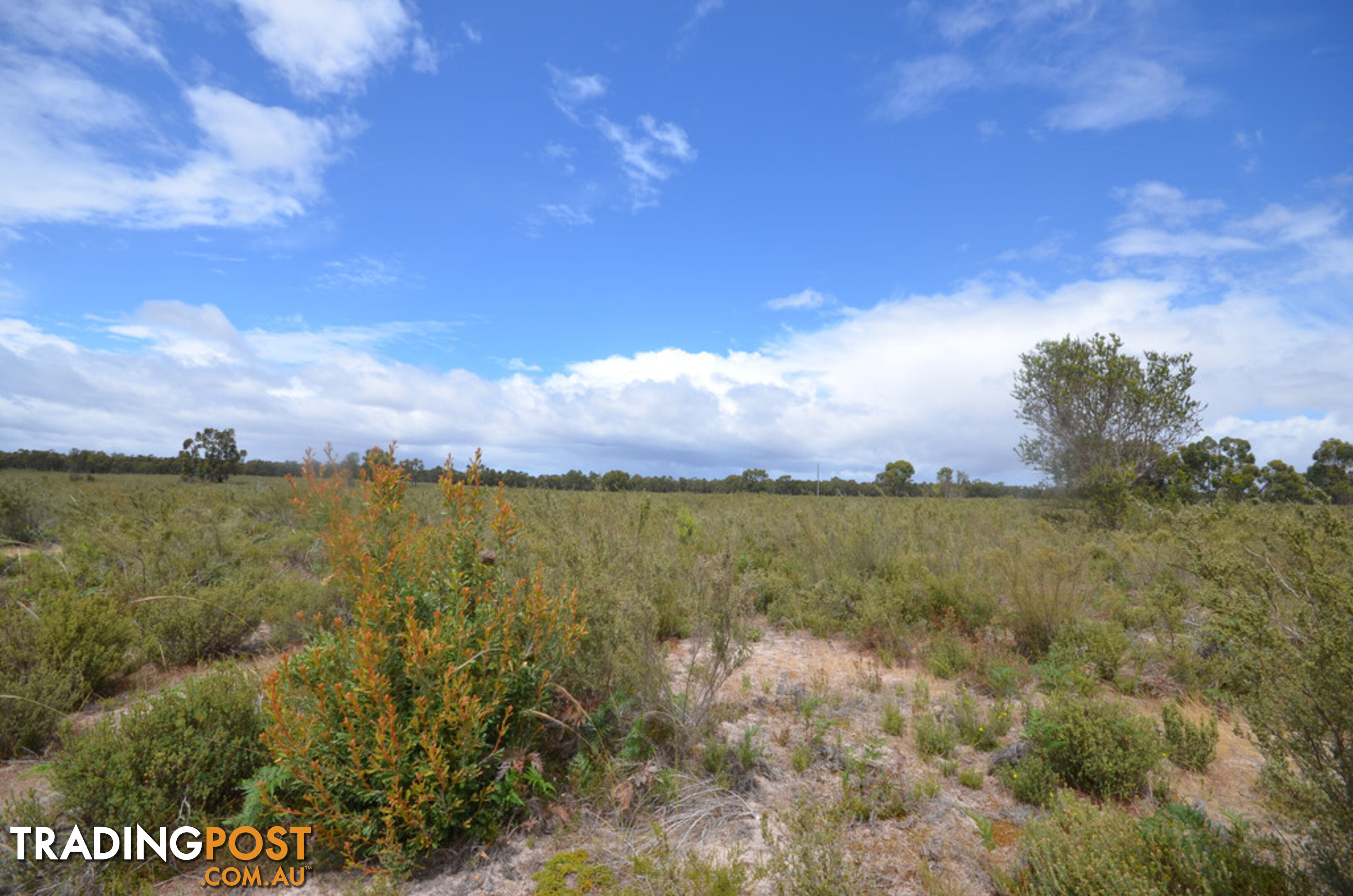 Lot 40 Scrubby Lake Road EDENHOPE VIC 3318