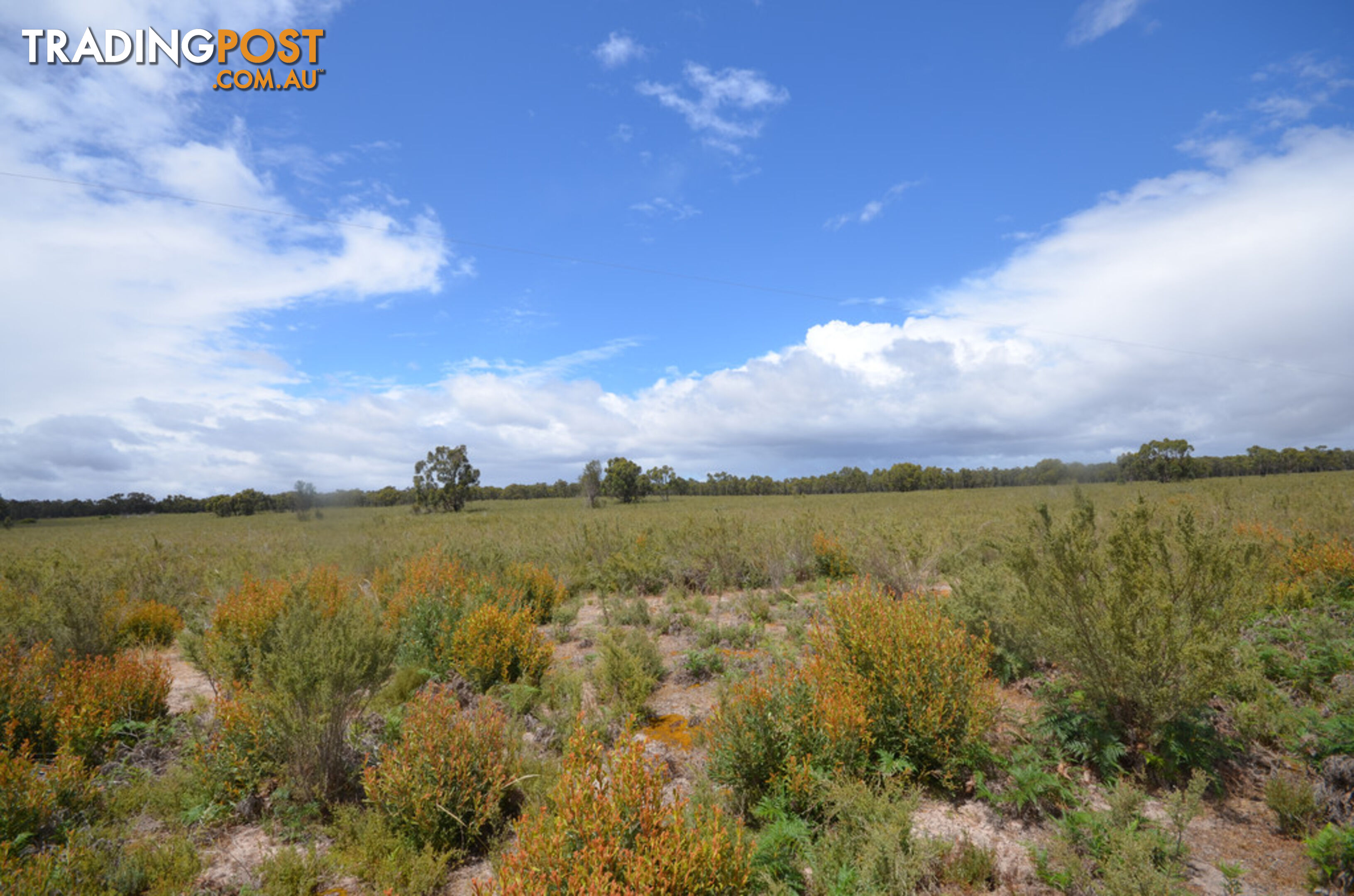 Lot 40 Scrubby Lake Road EDENHOPE VIC 3318