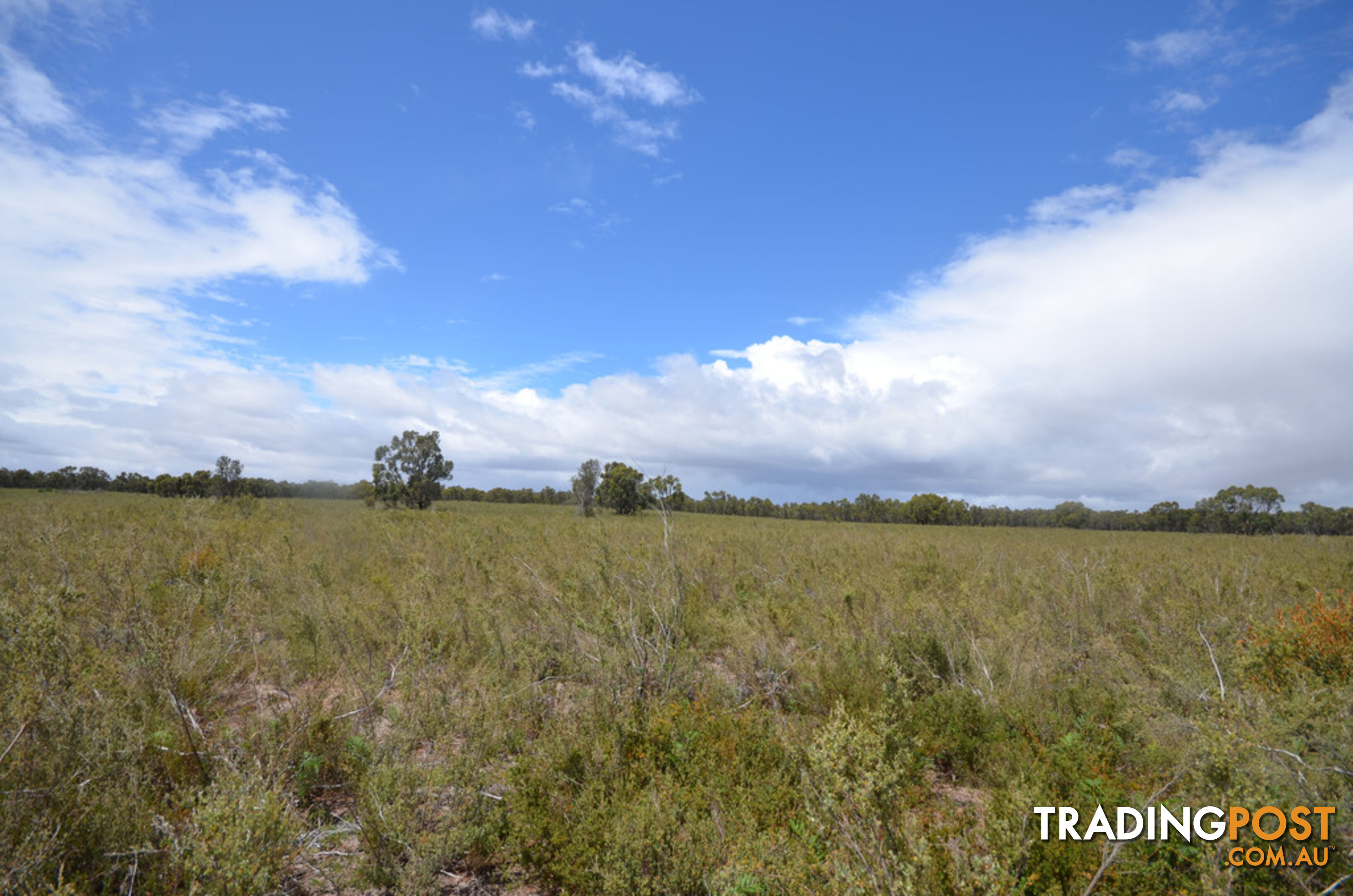 Lot 40 Scrubby Lake Road EDENHOPE VIC 3318