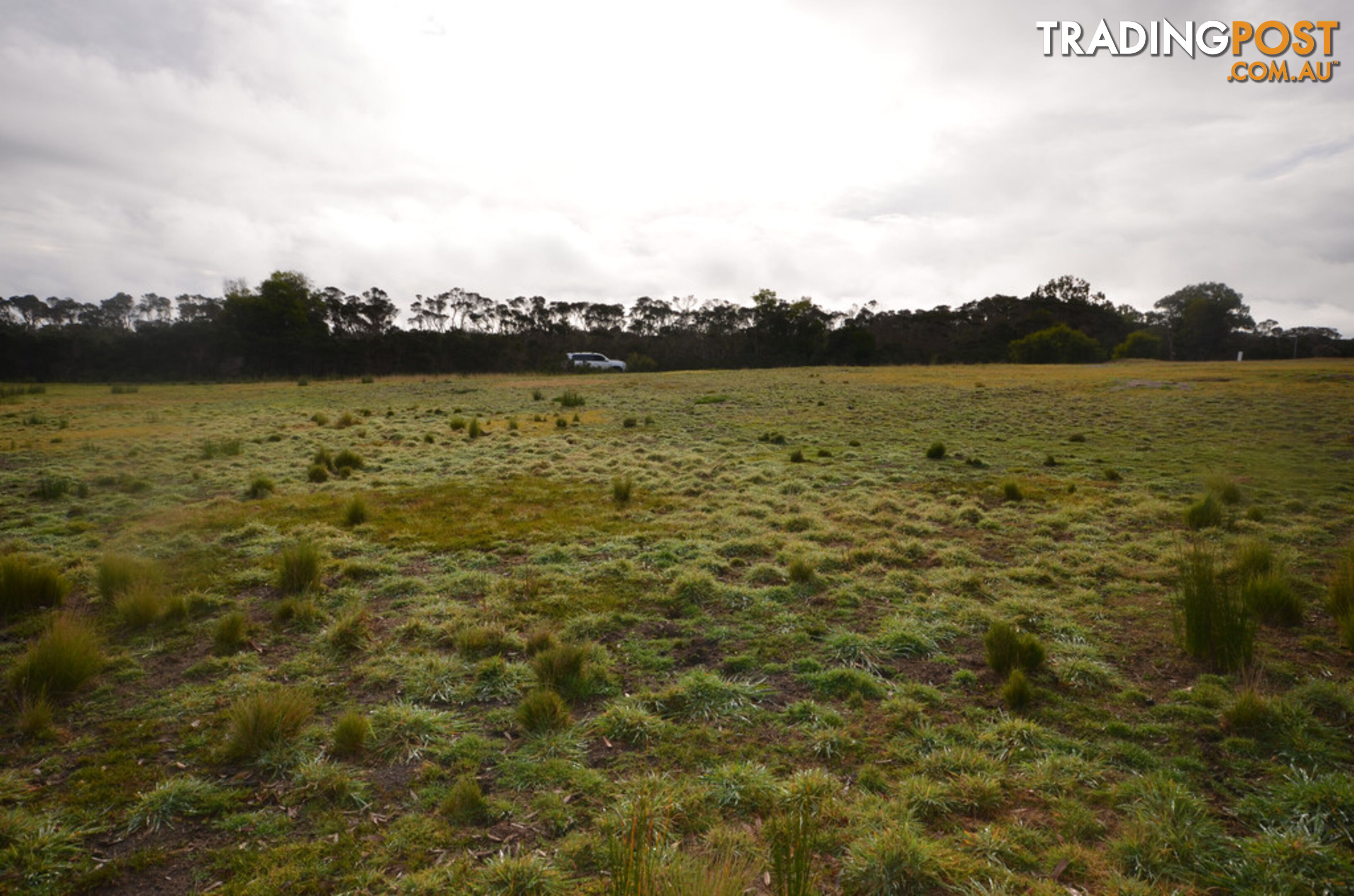 3 Snow Gum Avenue HOLLANDS LANDING VIC 3862