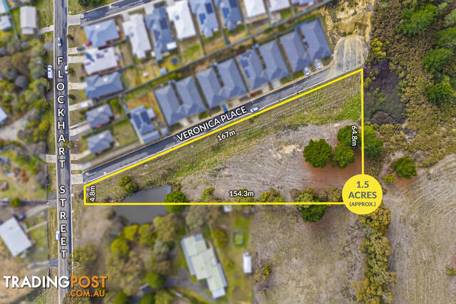 25A Flockhart Street MOUNT PLEASANT VIC 3350