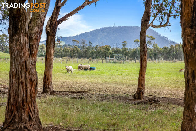316 Pryors Road SCOTSBURN VIC 3352 - photo 4 of 33