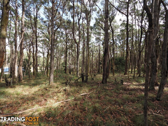 Lot 114 Pine Court DALES CREEK VIC 3341