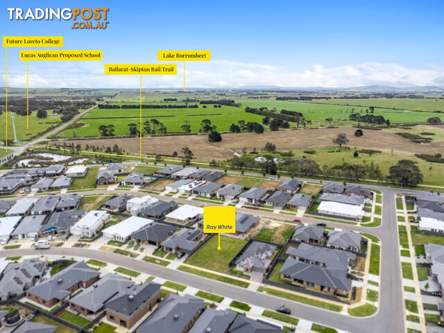 6 Scanlon Street LUCAS VIC 3350