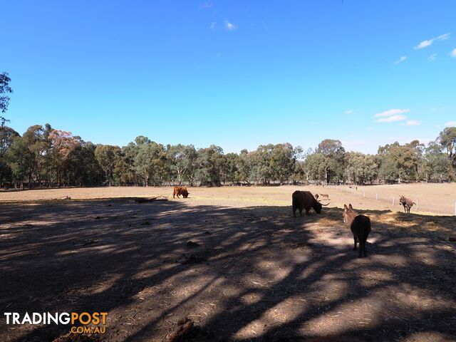 AMPHITHEATRE VIC 3468