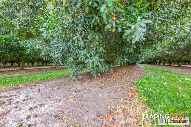 214 Thomasens Road ALLOWAY QLD 4670 - photo 4 of 25