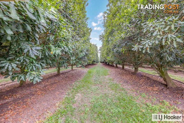 214 Thomasens Road ALLOWAY QLD 4670 - photo 3 of 25