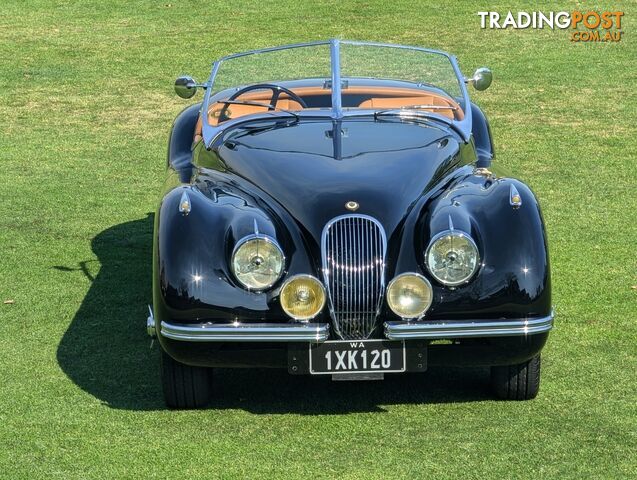 1950 JAGUAR XK   CONVERTIBLE