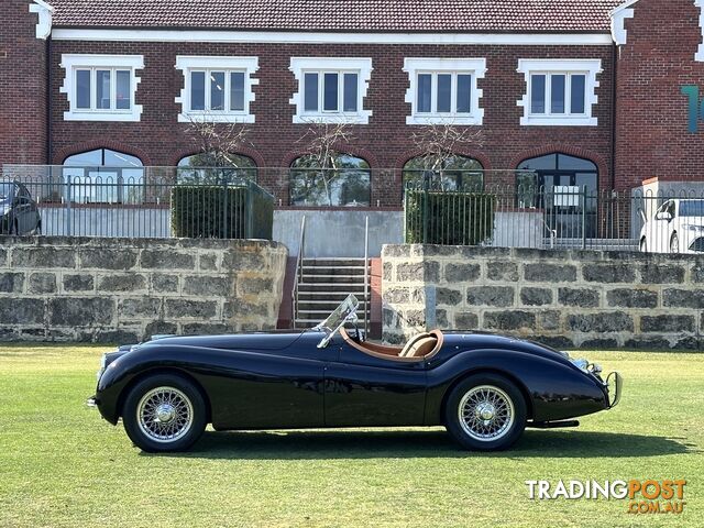 1950 JAGUAR XK   CONVERTIBLE