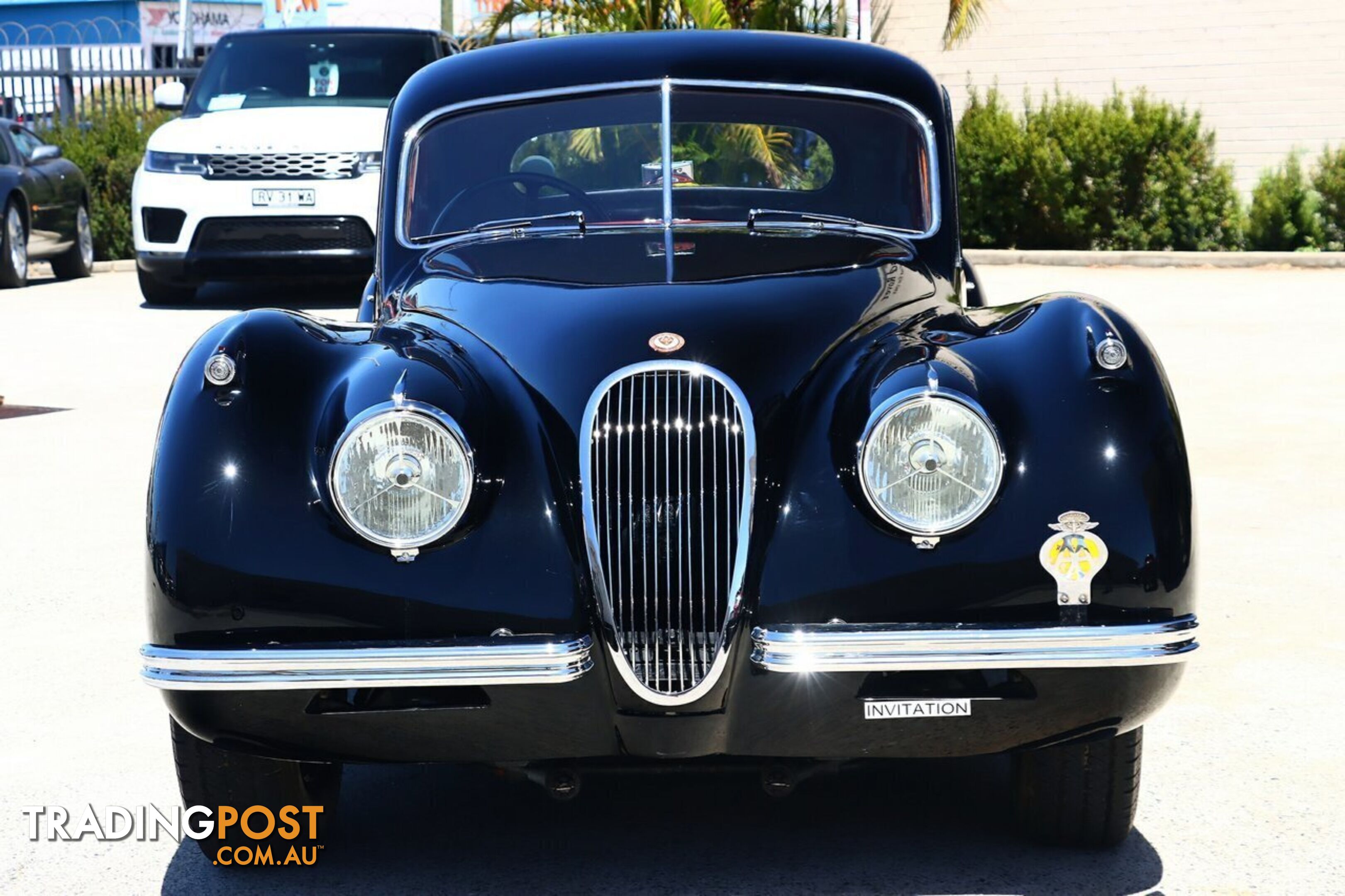 1953 JAGUAR XK  120 COUPE