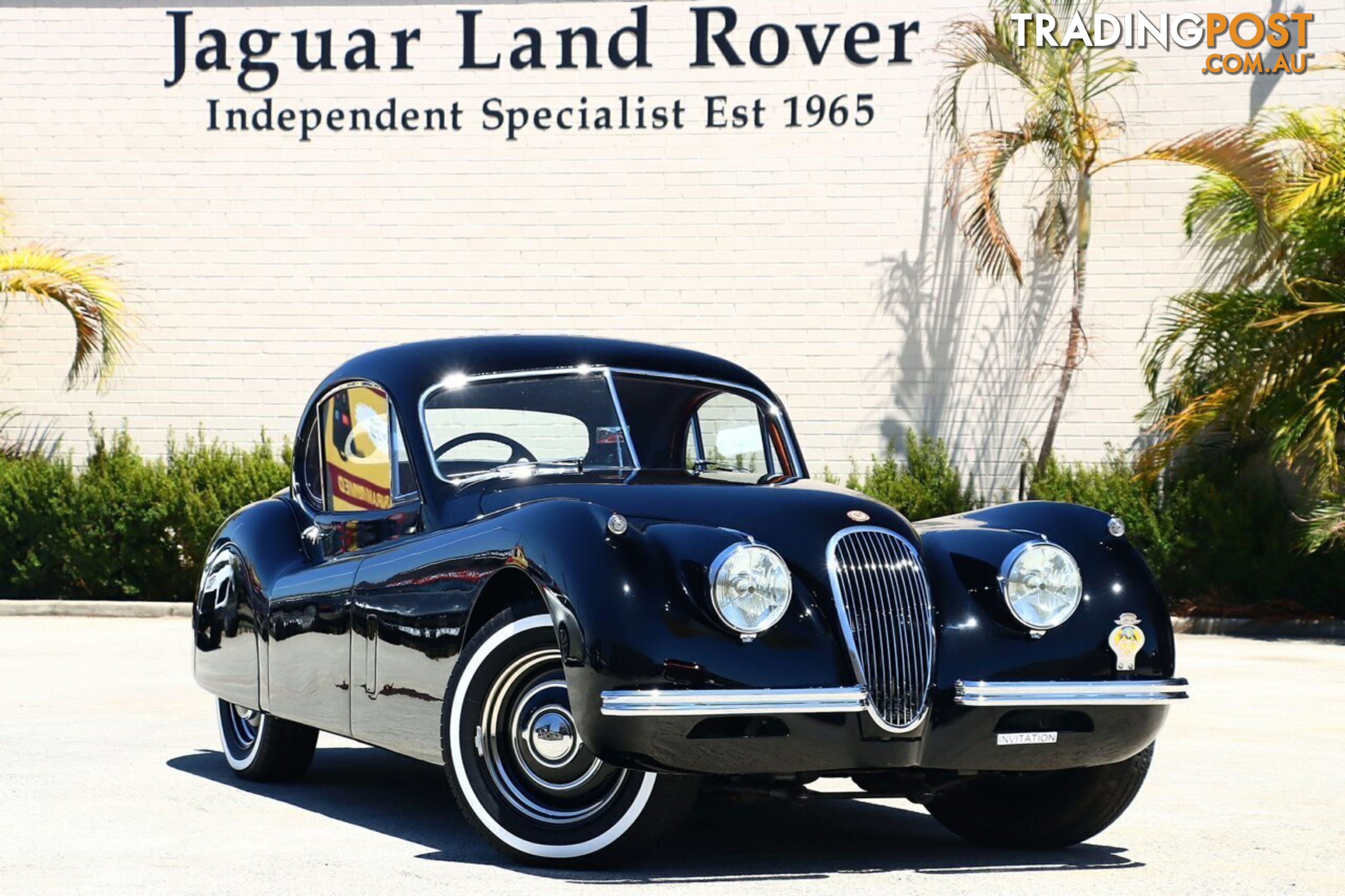 1953 JAGUAR XK  120 COUPE