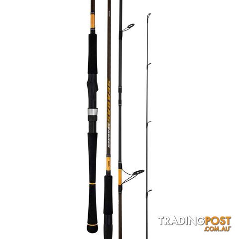 Daiwa Seabass Surf Rod