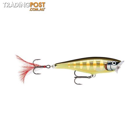 Rapala Skitter Pop Surface Lure 7cm