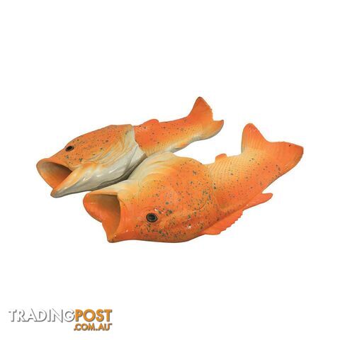 Coral Trout Fish Feet