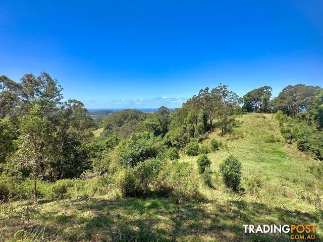 5993 Tweed Valley Way MOOBALL NSW 2483 - photo 5 of 13