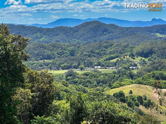 5993 Tweed Valley Way MOOBALL NSW 2483 - photo 4 of 13