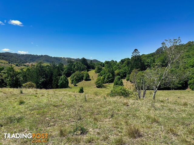 5993 Tweed Valley Way MOOBALL NSW 2483 - photo 3 of 13