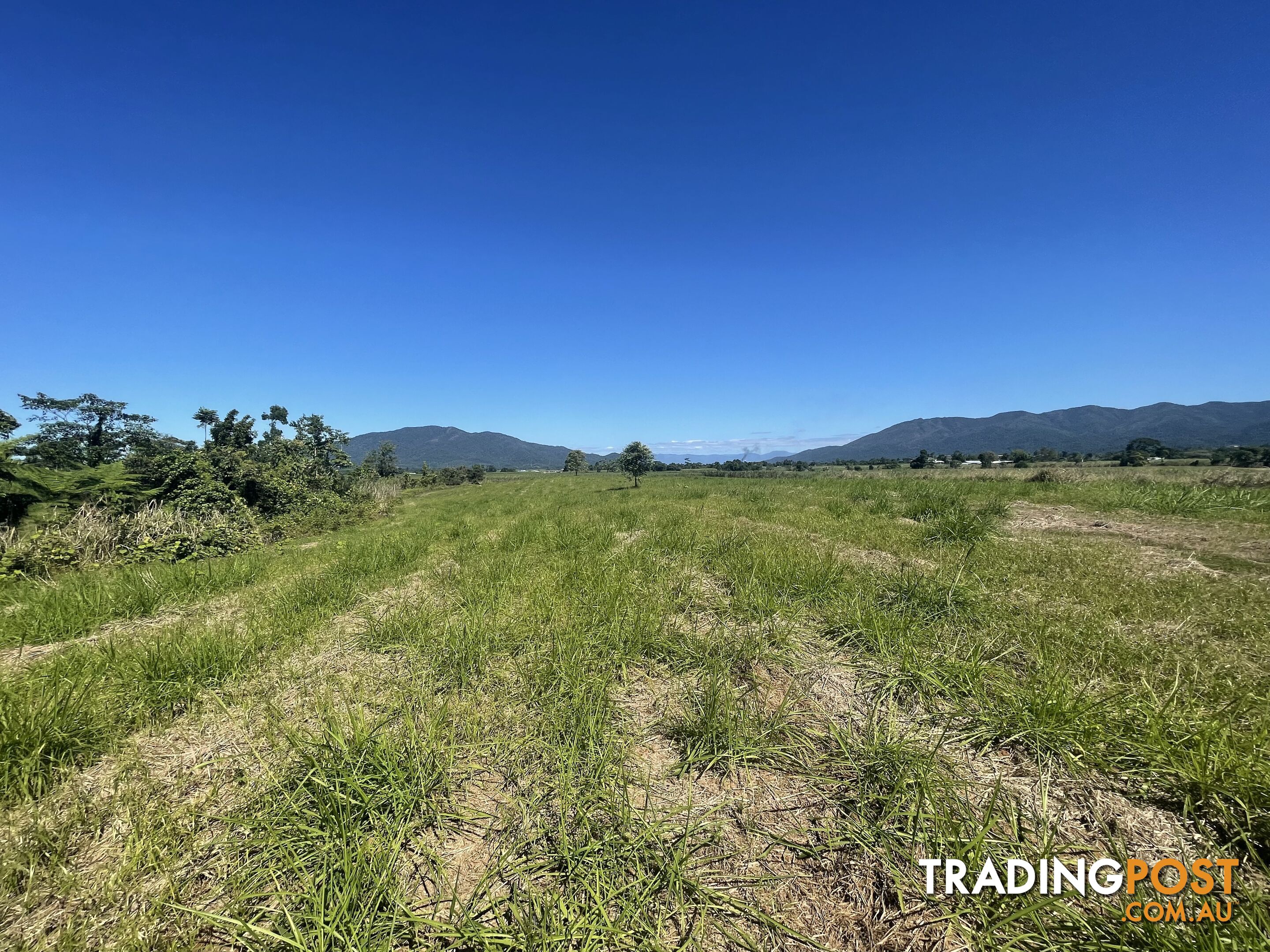 LOT 207 Old Tully Rd Djarawong QLD 4854