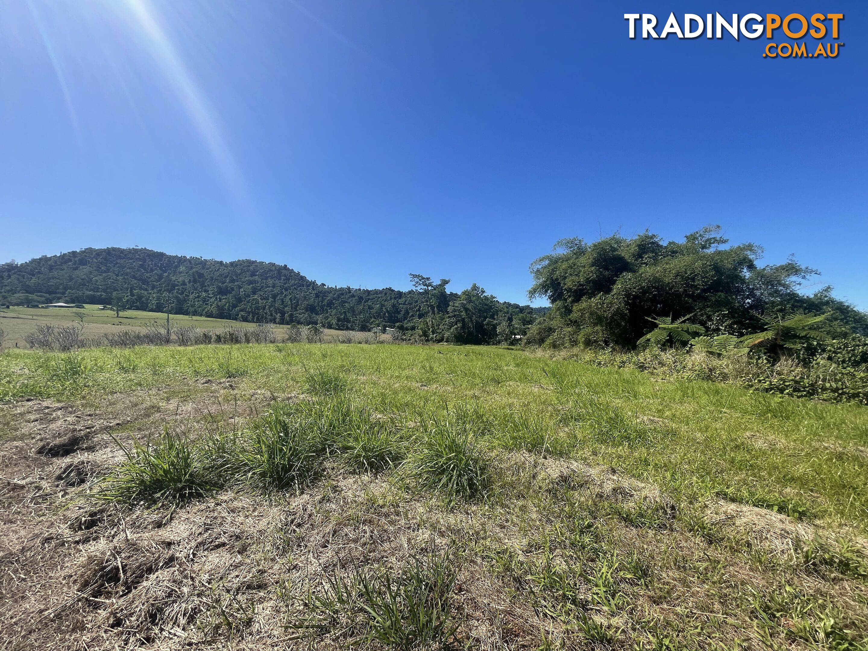 LOT 207 Old Tully Rd Djarawong QLD 4854