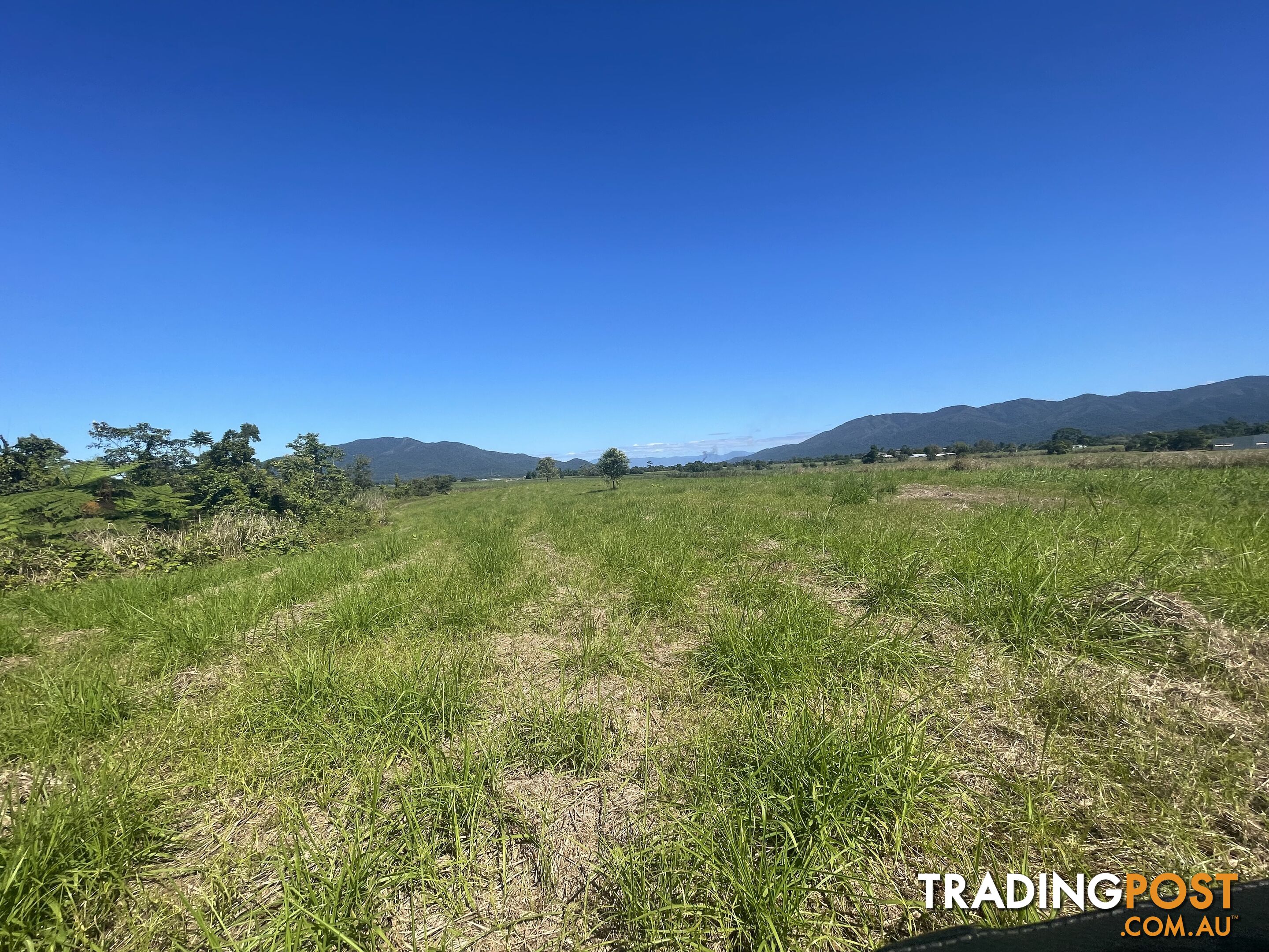 LOT 207 Old Tully Rd Djarawong QLD 4854