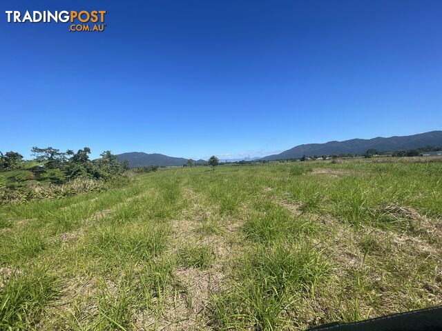 LOT 207 Old Tully Rd Djarawong QLD 4854