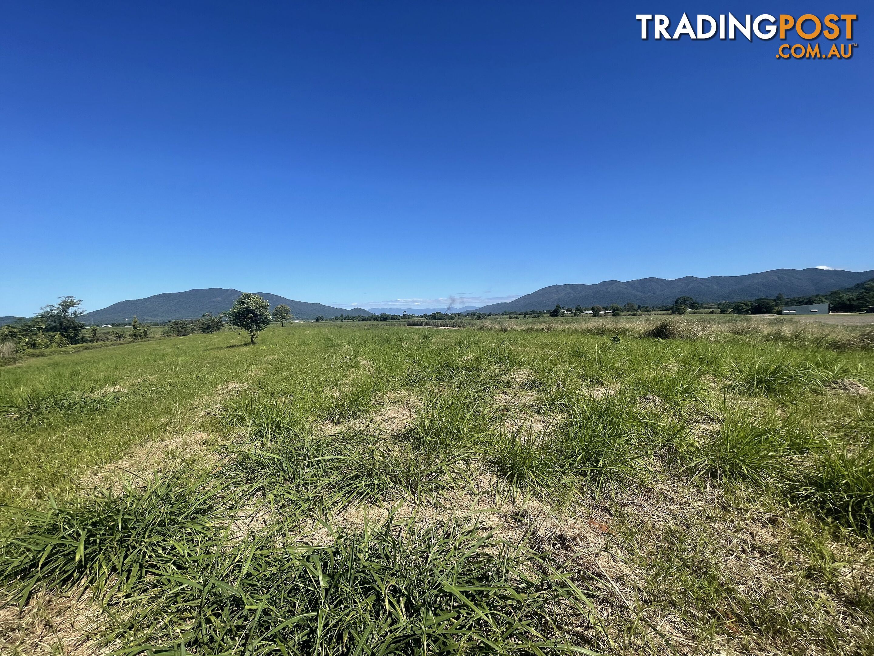 LOT 207 Old Tully Rd Djarawong QLD 4854