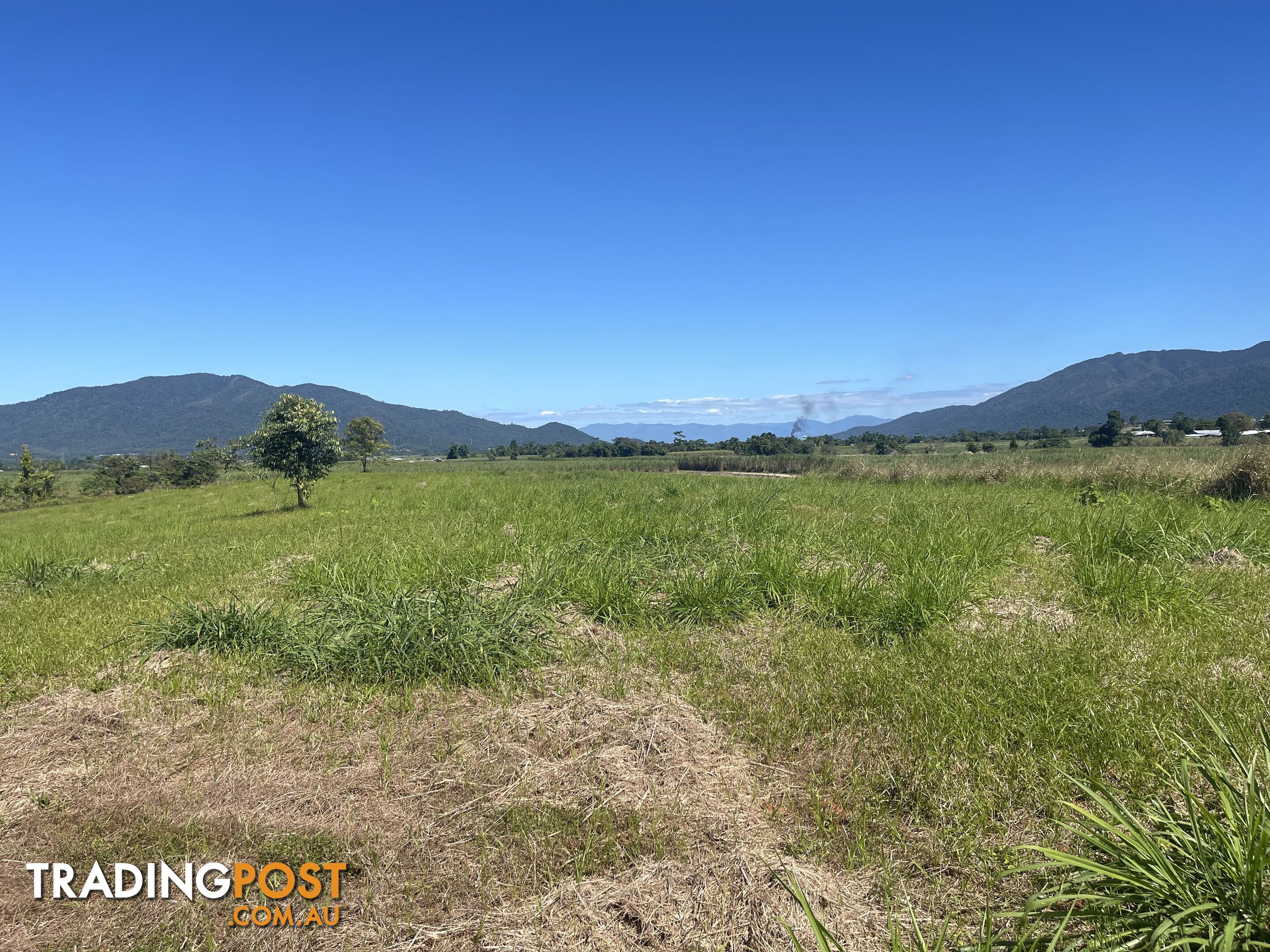 LOT 207 Old Tully Rd Djarawong QLD 4854