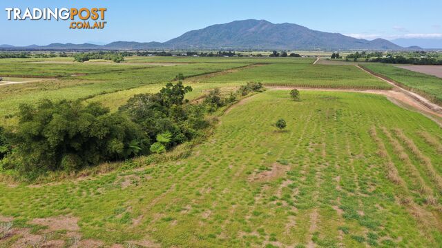 LOT 207 Old Tully Rd Djarawong QLD 4854