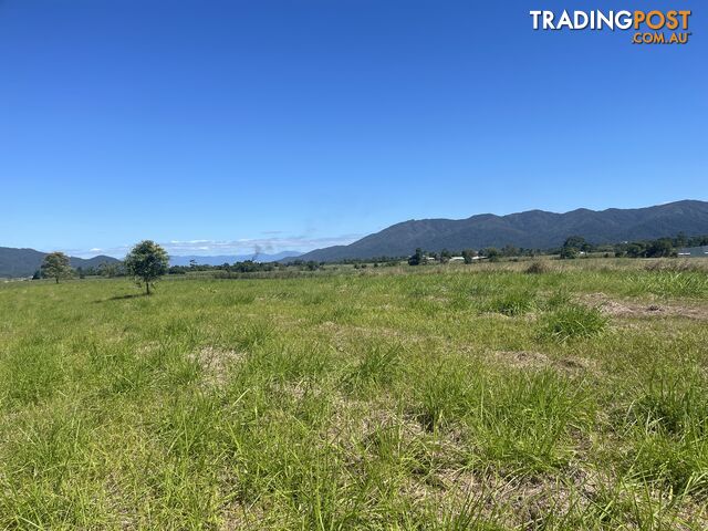 LOT 207 Old Tully Rd Djarawong QLD 4854