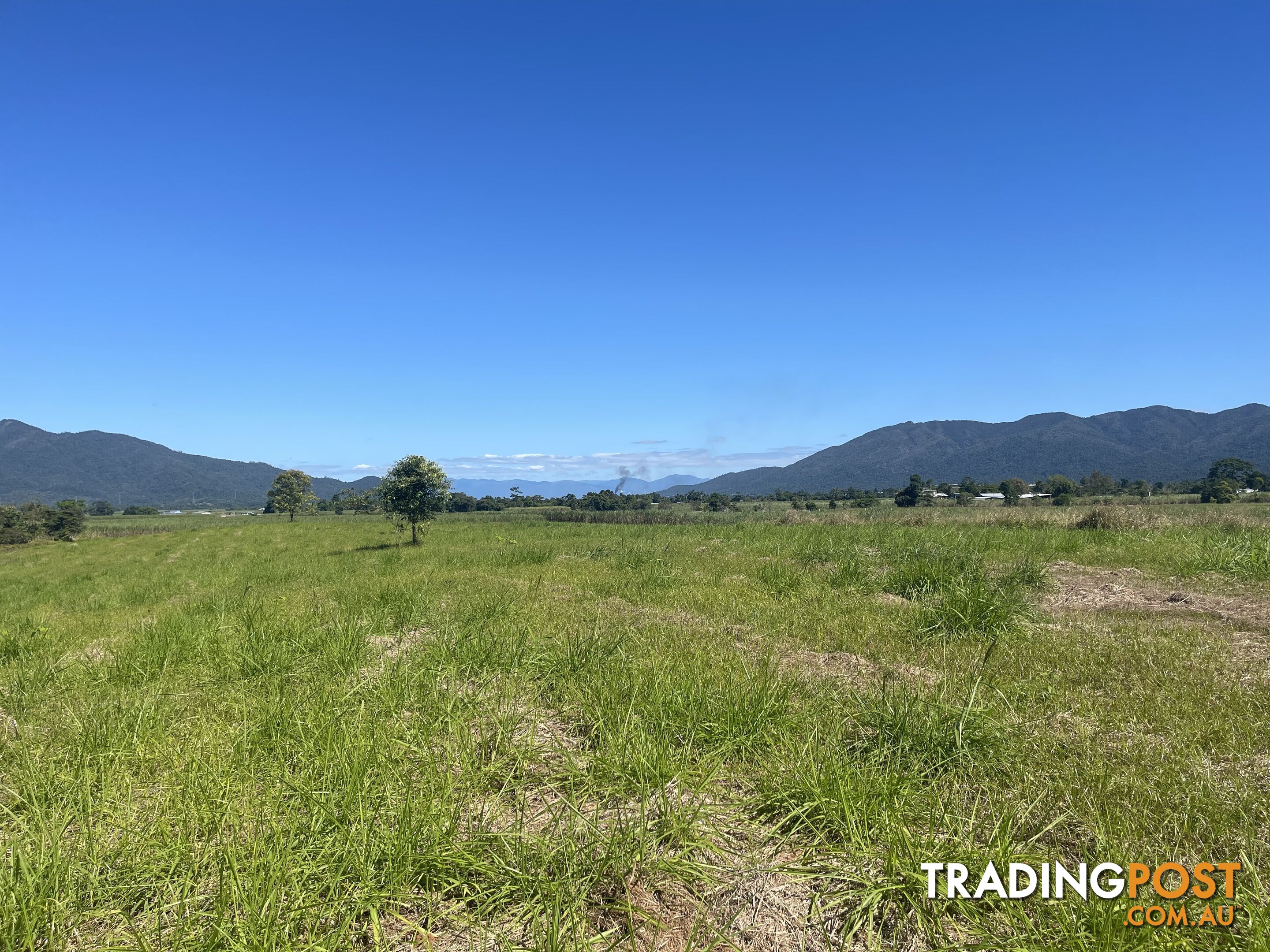 LOT 207 Old Tully Rd Djarawong QLD 4854