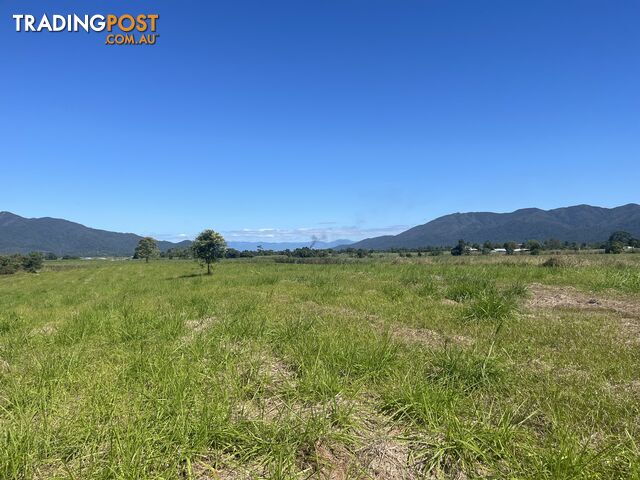 LOT 207 Old Tully Rd Djarawong QLD 4854