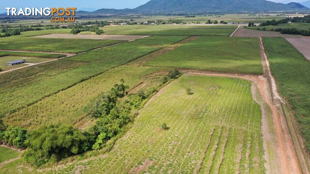 LOT 207 Old Tully Rd Djarawong QLD 4854