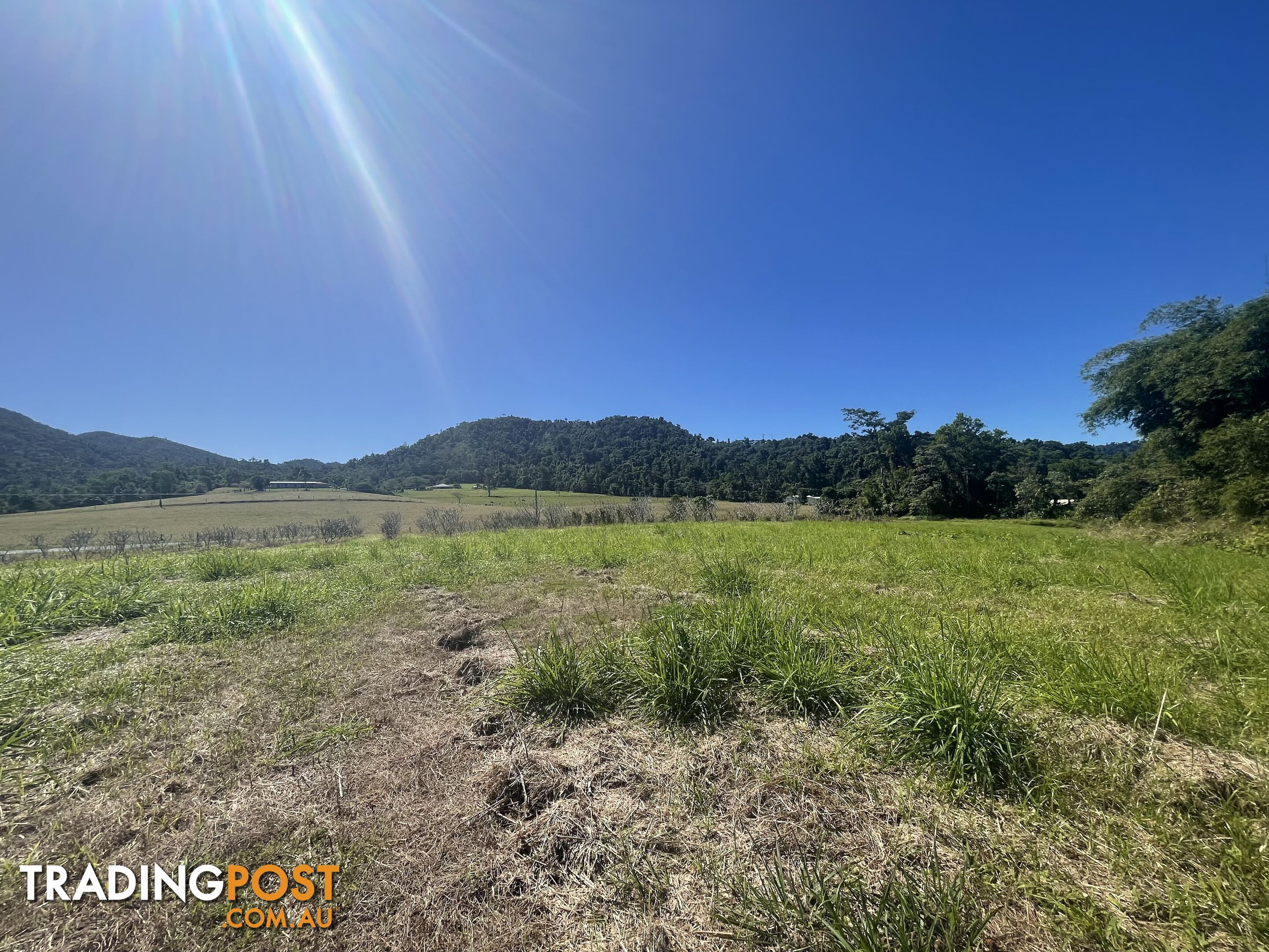 LOT 207 Old Tully Rd Djarawong QLD 4854