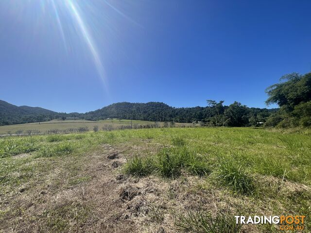 LOT 207 Old Tully Rd Djarawong QLD 4854