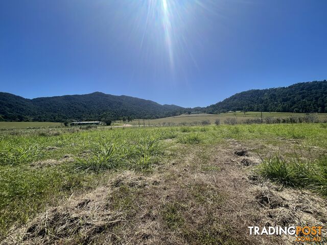 LOT 207 Old Tully Rd Djarawong QLD 4854