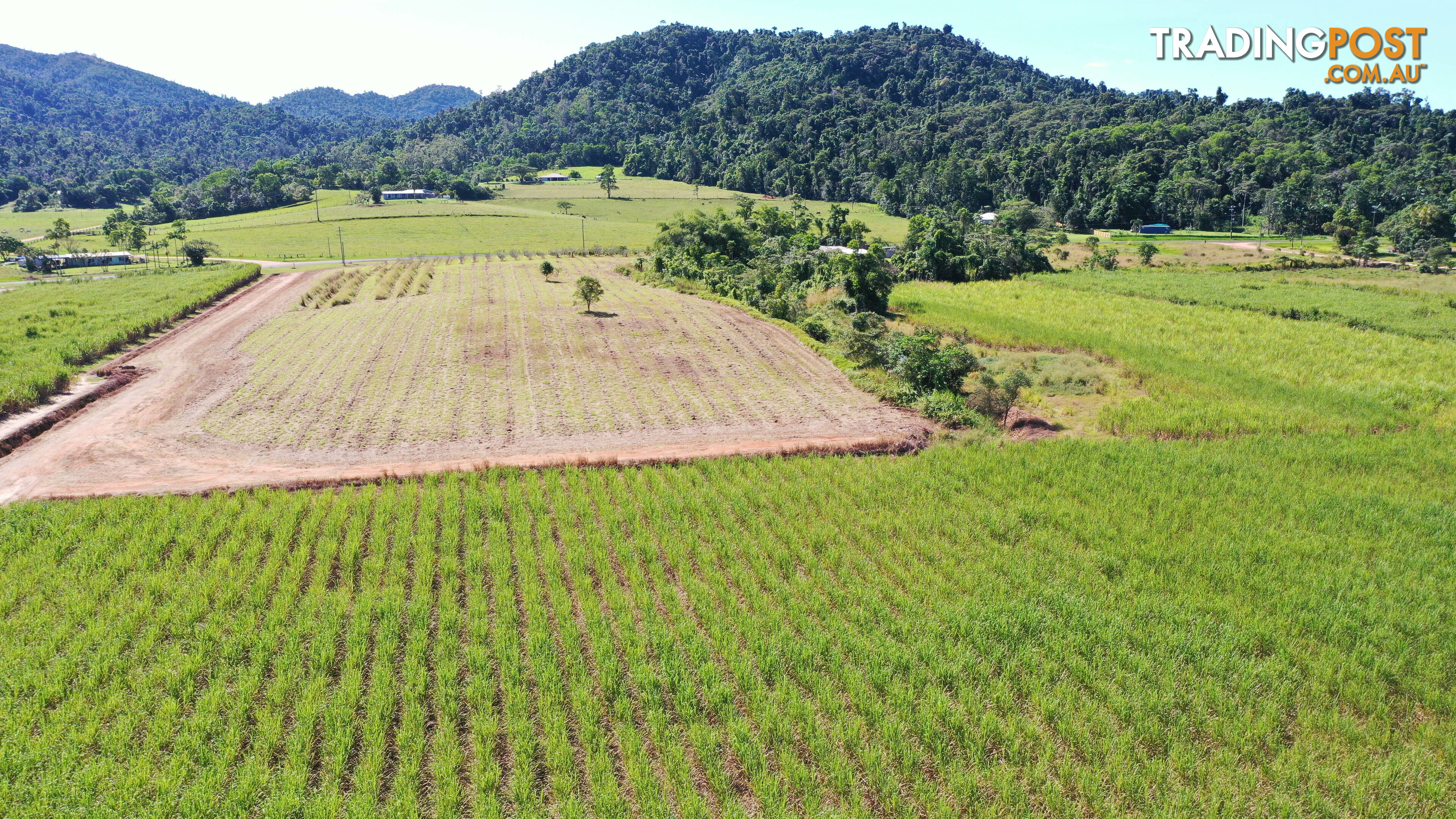 LOT 207 Old Tully Rd Djarawong QLD 4854