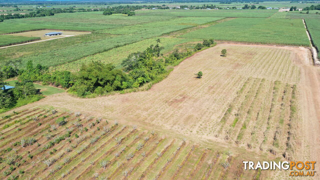 LOT 207 Old Tully Rd Djarawong QLD 4854