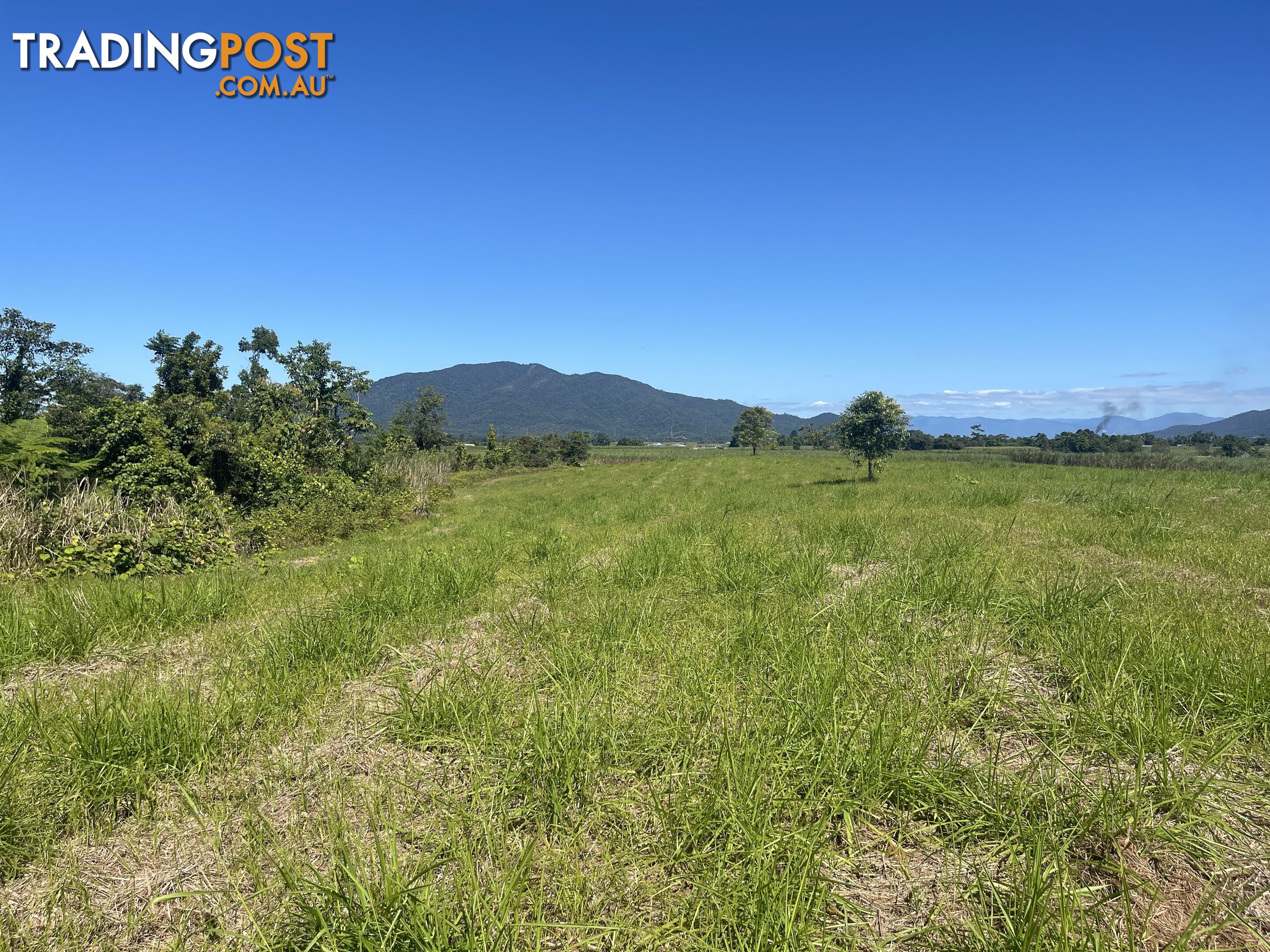 LOT 207 Old Tully Rd Djarawong QLD 4854