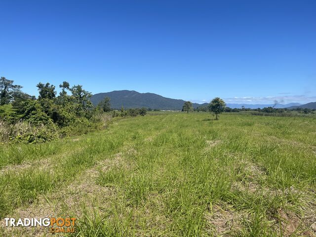 LOT 207 Old Tully Rd Djarawong QLD 4854