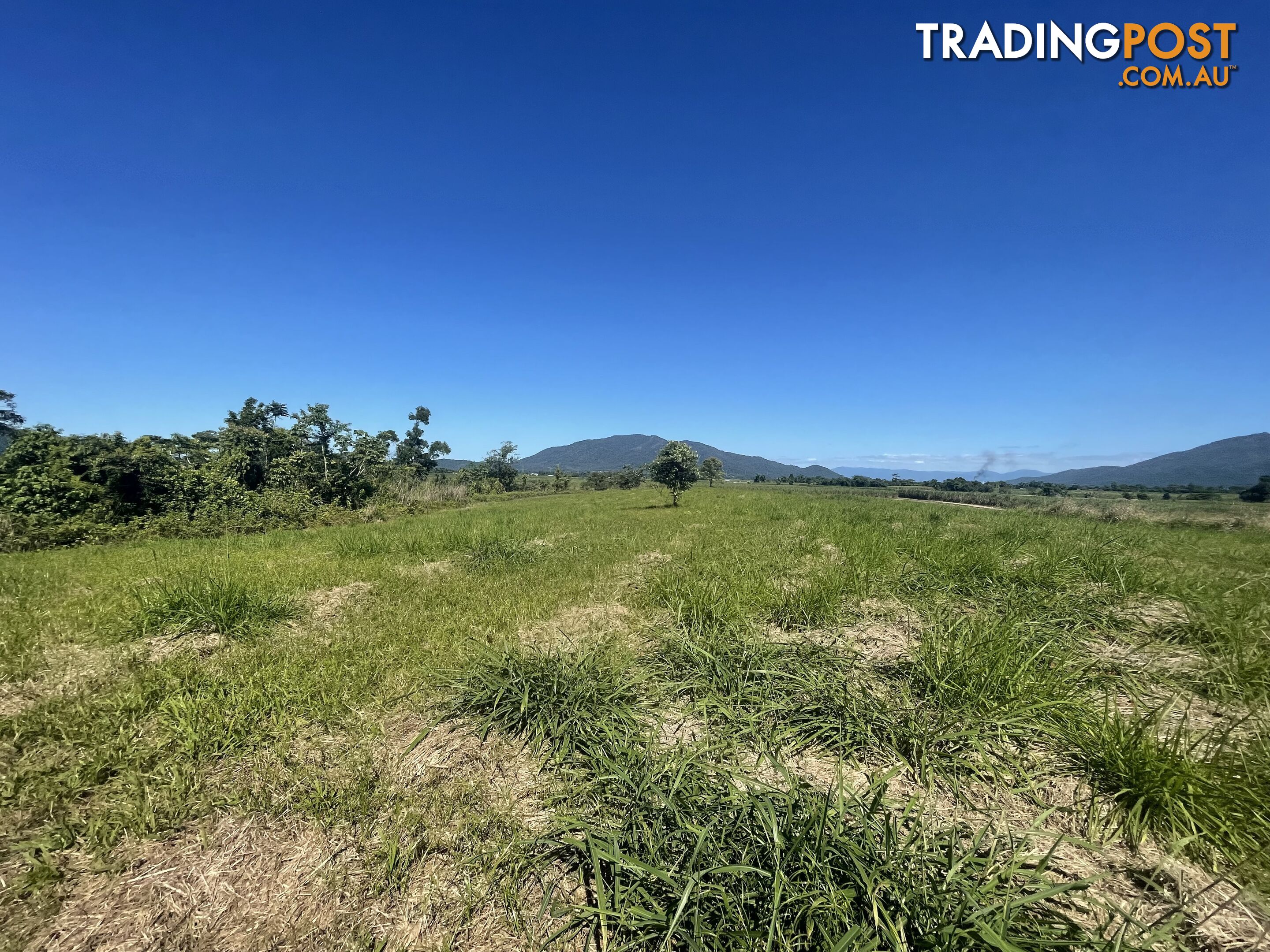 LOT 207 Old Tully Rd Djarawong QLD 4854