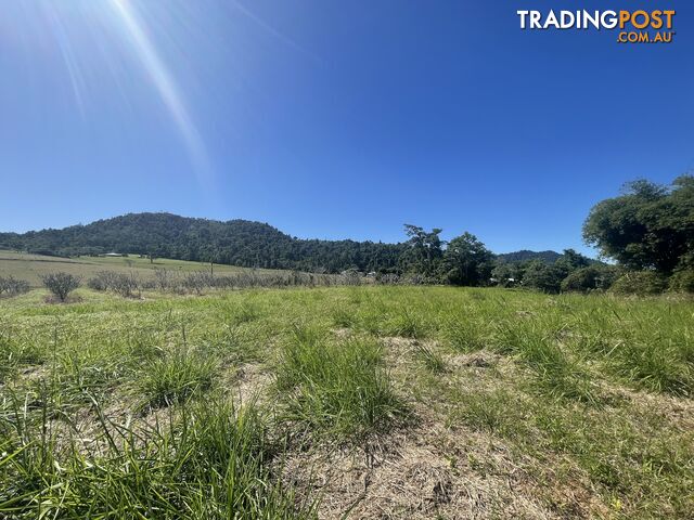 LOT 207 Old Tully Rd Djarawong QLD 4854