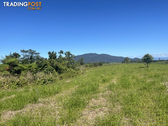 LOT 207 Old Tully Rd Djarawong QLD 4854