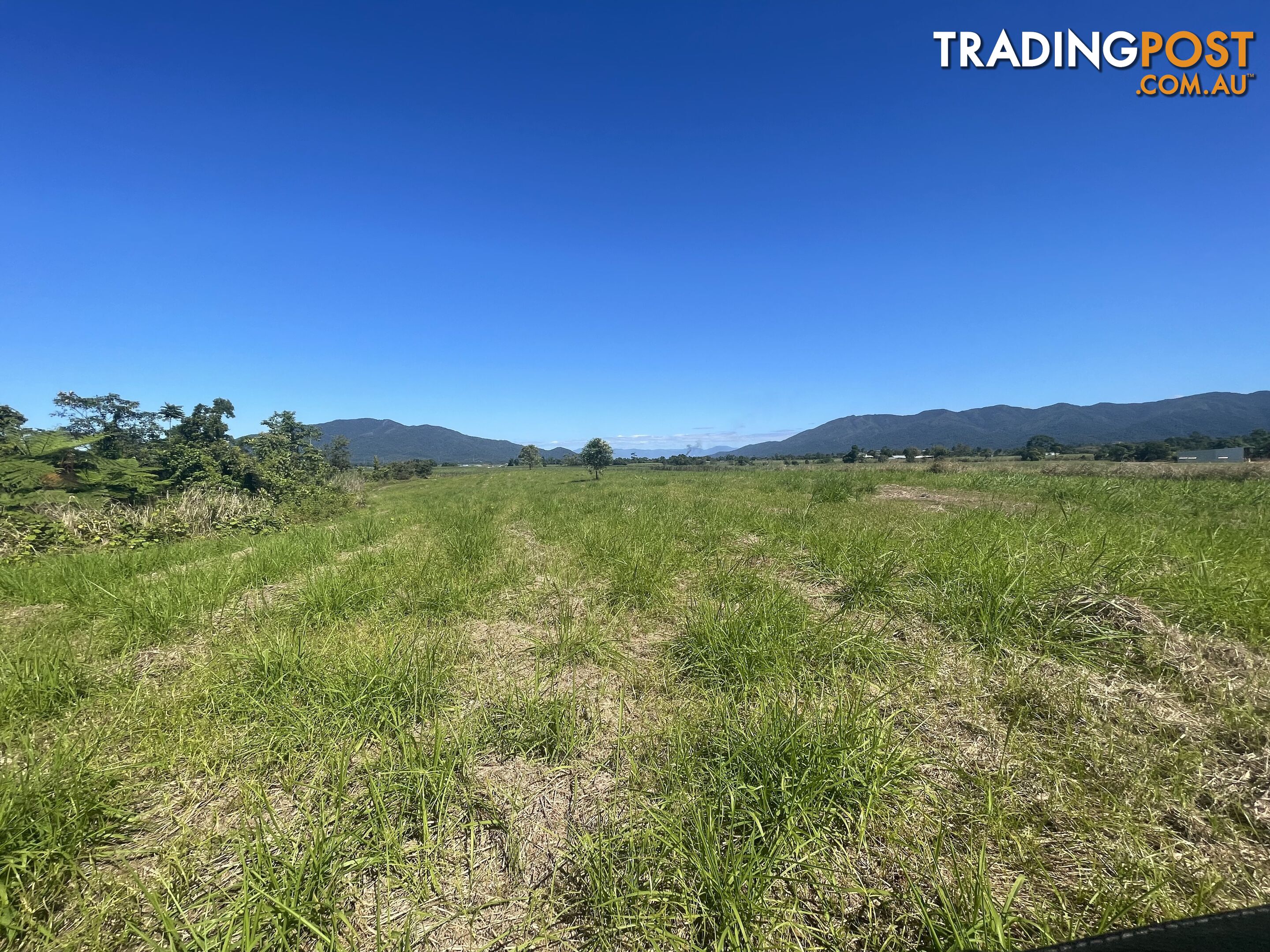 LOT 207 Old Tully Rd Djarawong QLD 4854