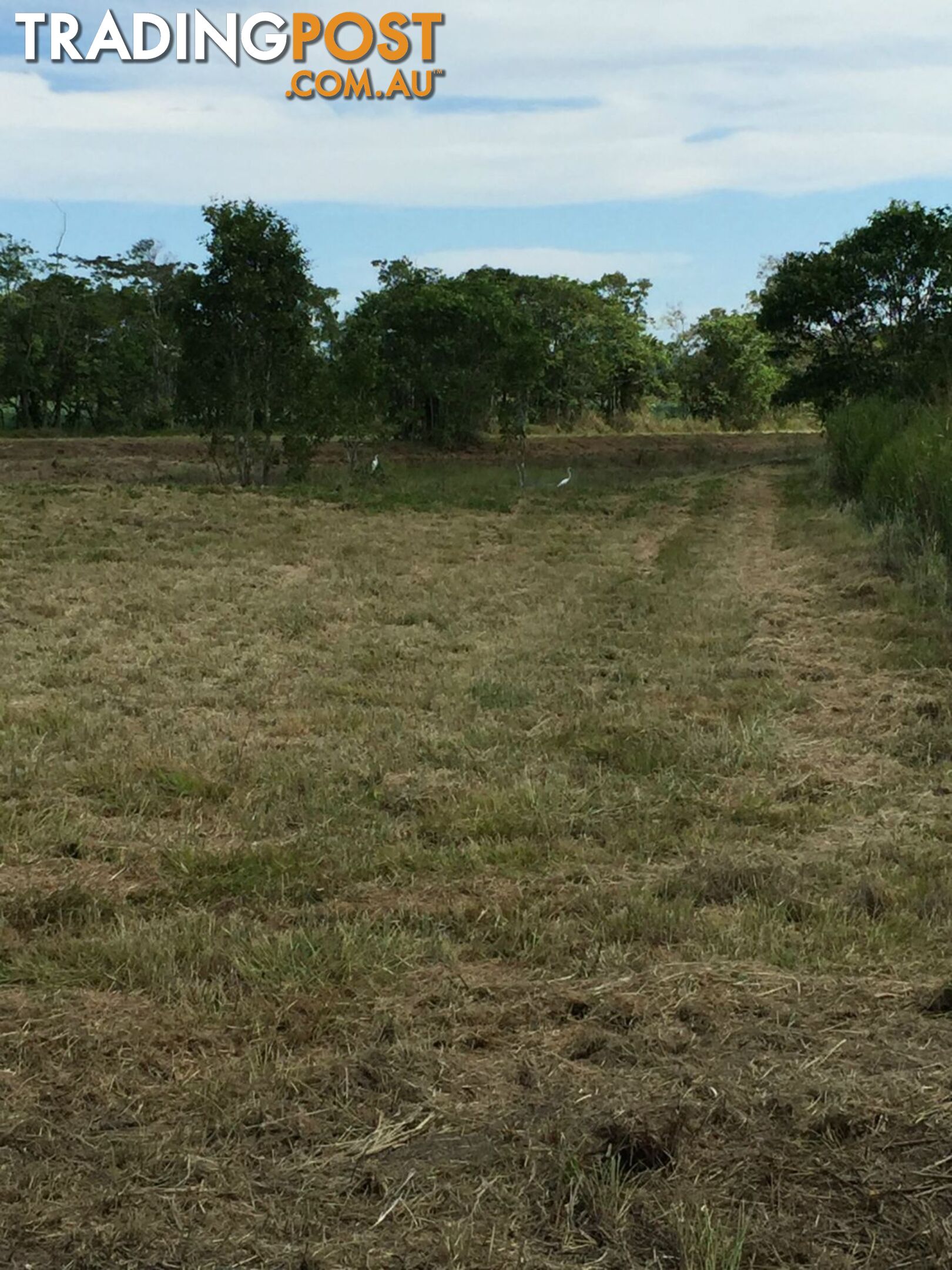 Lot 589 Old Telegraph Road East Feluga QLD 4854