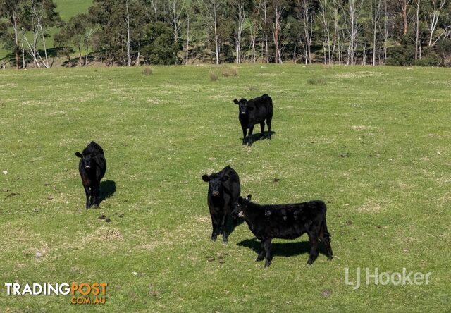 122 Blights Reserve Road WISTOW SA 5251