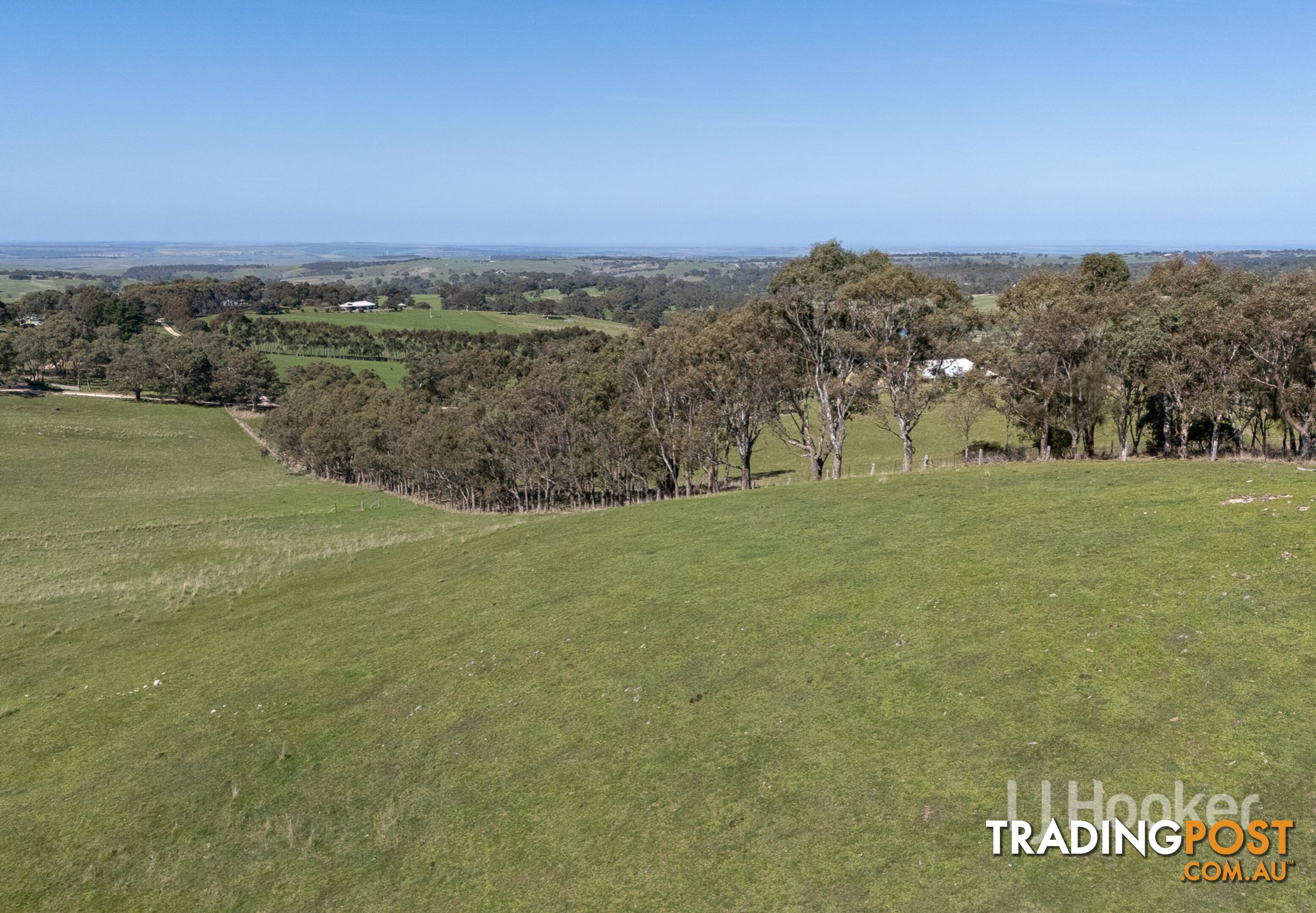 Lot 71 Daniel Road WISTOW SA 5251