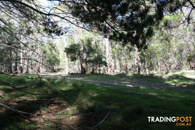 Lot 2 Ribbon Gum Road BRAIDWOOD NSW 2622