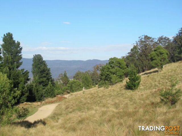 Lot 2 Ribbon Gum Road BRAIDWOOD NSW 2622