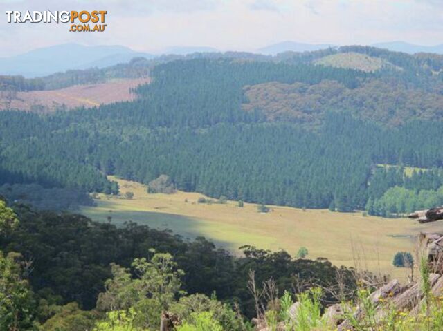 Lot 2 Ribbon Gum Road BRAIDWOOD NSW 2622